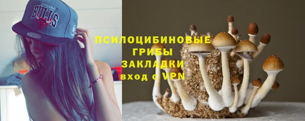 spice Лихославль