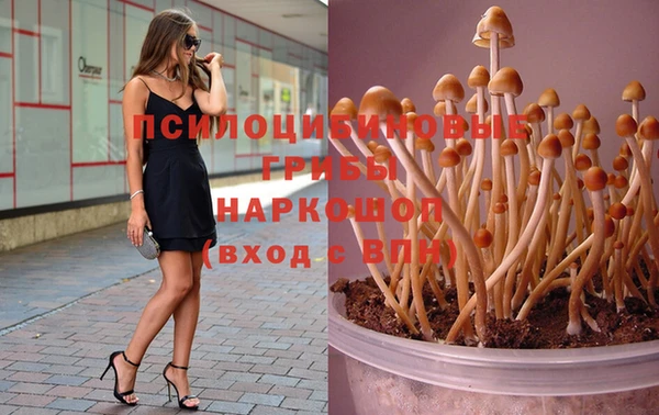 spice Лихославль