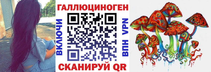 Купить закладки  Большой Камень  Псилоцибиновые грибы Psilocybine cubensis 